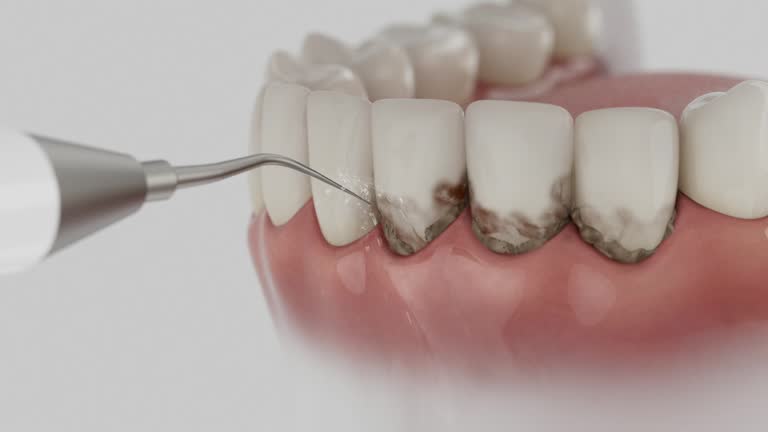 Reliable Dental contractor in Madison Heights, MI by Dentist Open Now